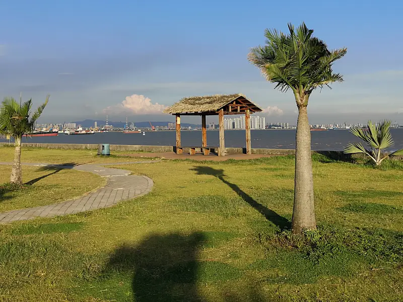 Seagull Island Campsite