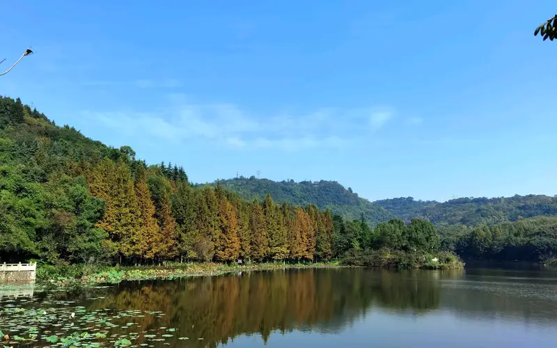 Zhaomushan Forest Park