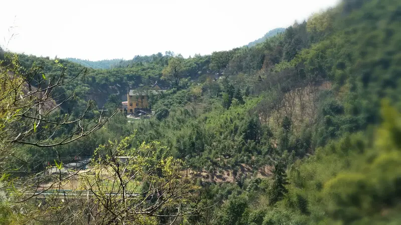 Tanshi Temple