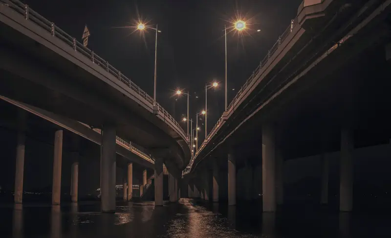 Shenzhen Bay Bridge