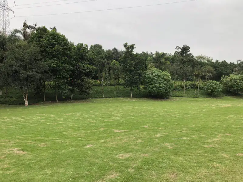 Bamboo Forest Park