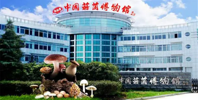 China Mushroom Museum