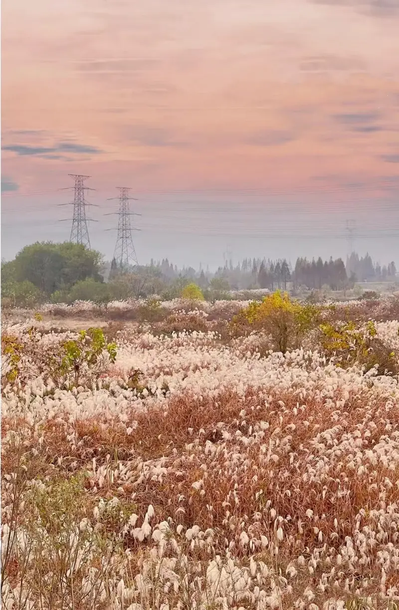 North Lake Wetlands