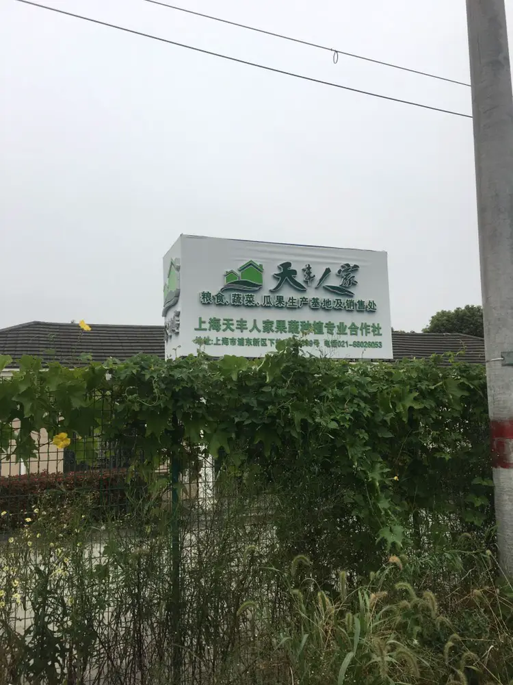 Tianfeng Renjia Organic Strawberry Picking Base