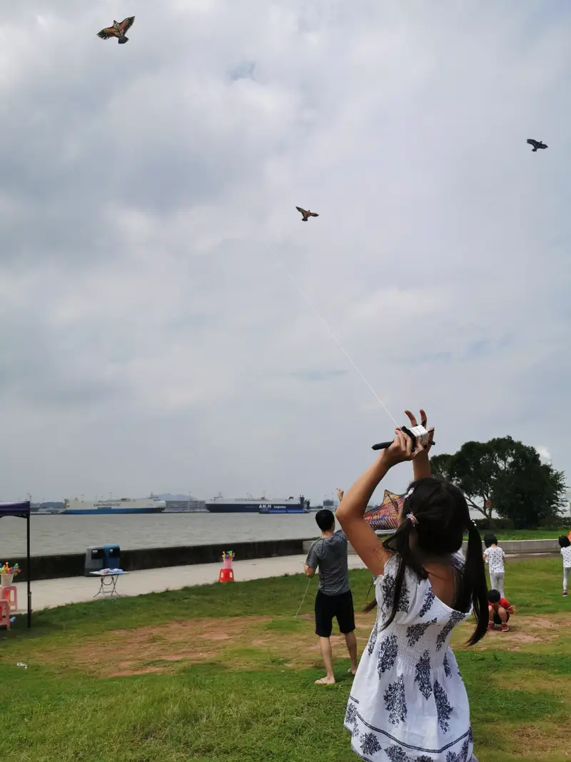 Seagull Island Wetland Park