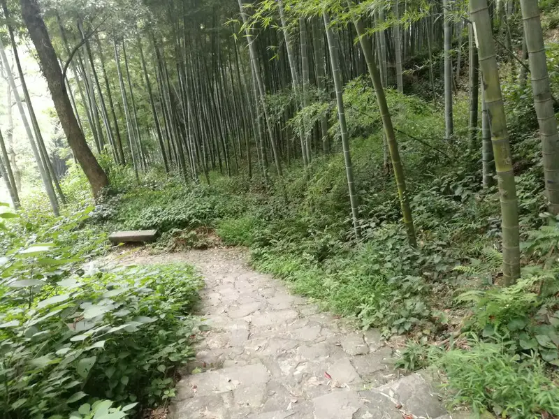 Dongming Temple