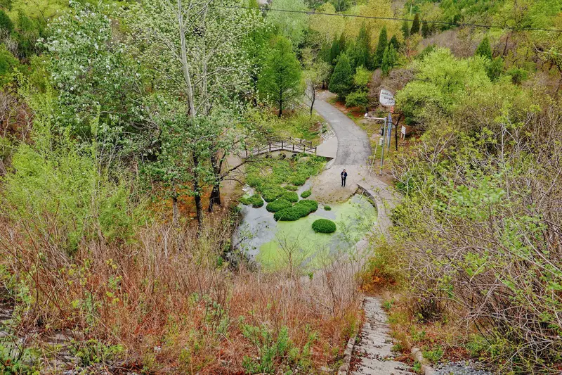 Baishui Temple Forest Park