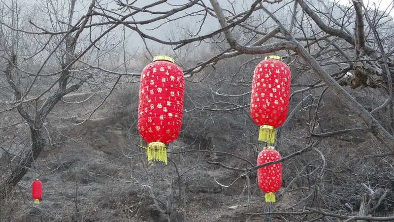 Fragrant Ice Valley