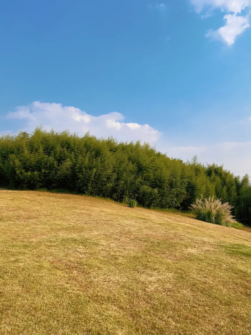Yaoshan Site Park