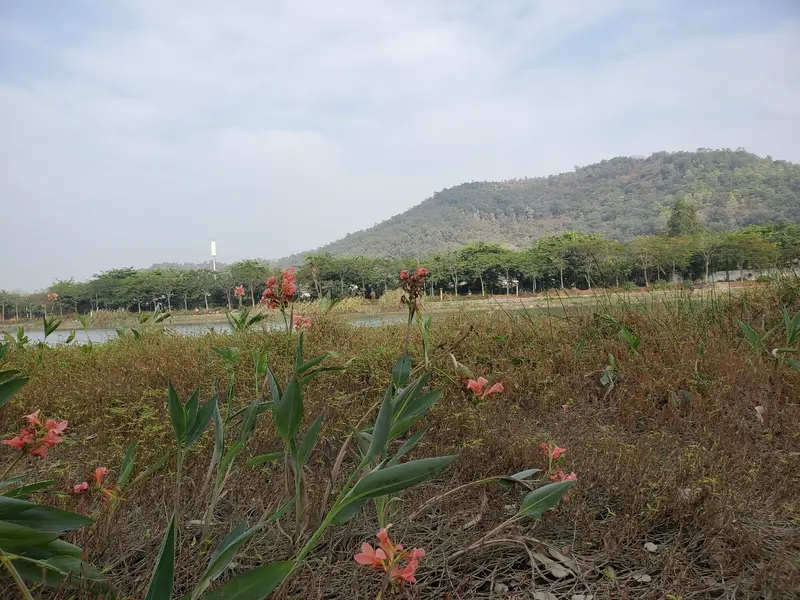 JunYi Fishing Ground