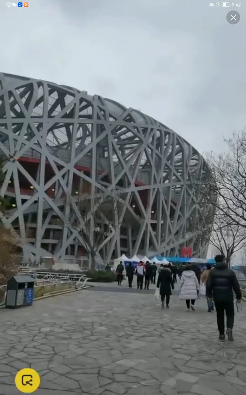 Bird'S Nest Happy Ice And Snow Season