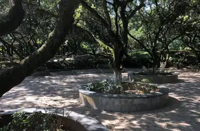 Lychee Cultural Park