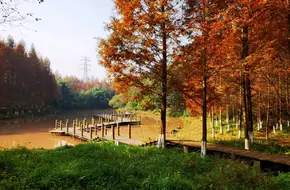 Jiuqu River Wetland Park