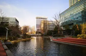 Bole Fishing Pond