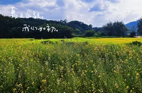 Maofeng Mountain Ecological Park