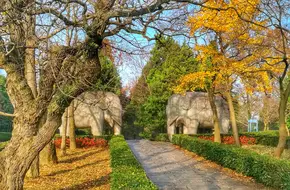 Avenue Of Stone Elephants