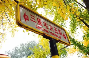 Sanlitun Ginkgo Avenue