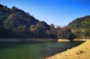 Shanfu Family Farm