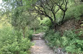 Phoenix Mountain Park