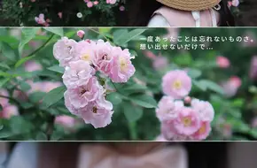 Yihe Ecological Park