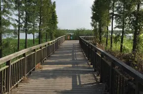 Hezhizhou Wetland Park