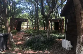 Yangwang International Park
