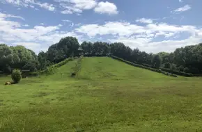 Yangwang International Park