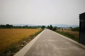 Xianlin Eco-Strawberry Garden