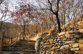 Po Feng Ling Eagle'S Beak Rock