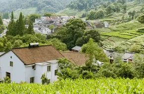 Shili Langdang
