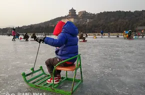 Gull Watching Pavilion