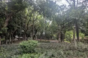 Shiren Park
