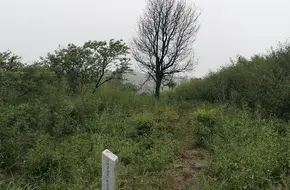 Dongming Temple