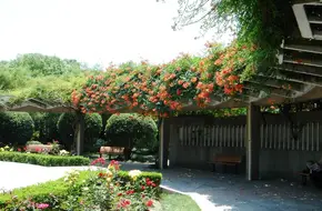 Minhang Park
