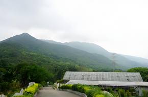 Kadoorie Farm And Botanic Garden