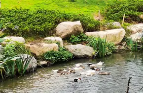 JingShan Town Citizens' Park