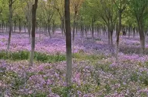 Qinglong Lake Park