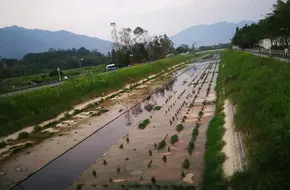 Lau Fau Shan