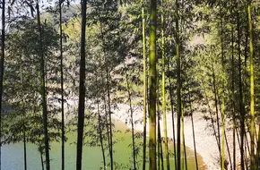 Shanfu Family Farm