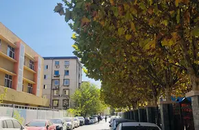 Wandering Spring Garden