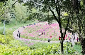 Addis Ababa Park