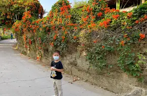 Tai Tong Organic Eco-Park
