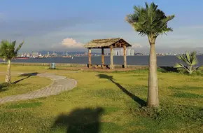 Seagull Island Campsite