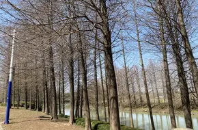 Minhang Riverside Wetland Park