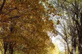 Dongba Country Park