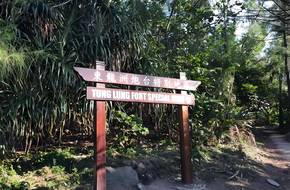 Tung Lung Chau Battery Special Region