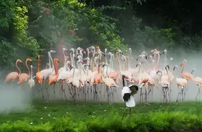Hezhizhou Wetland Park