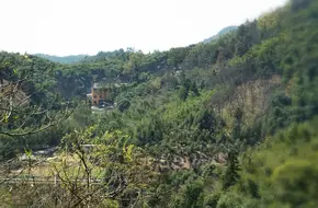 Tanshi Temple