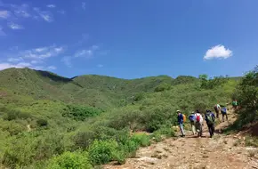 Ten Thousand Buddha Hall