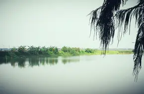 River Gull Village
